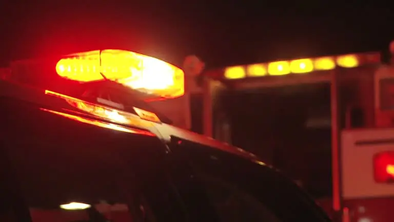 Polícia Civil de Mogi Mirim prende procurado por tortura e homicídio de ex-companheira